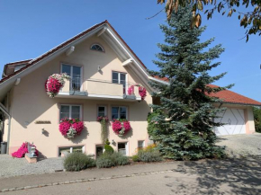 BodenSEE Apartment Tettnang Seldnerstrasse